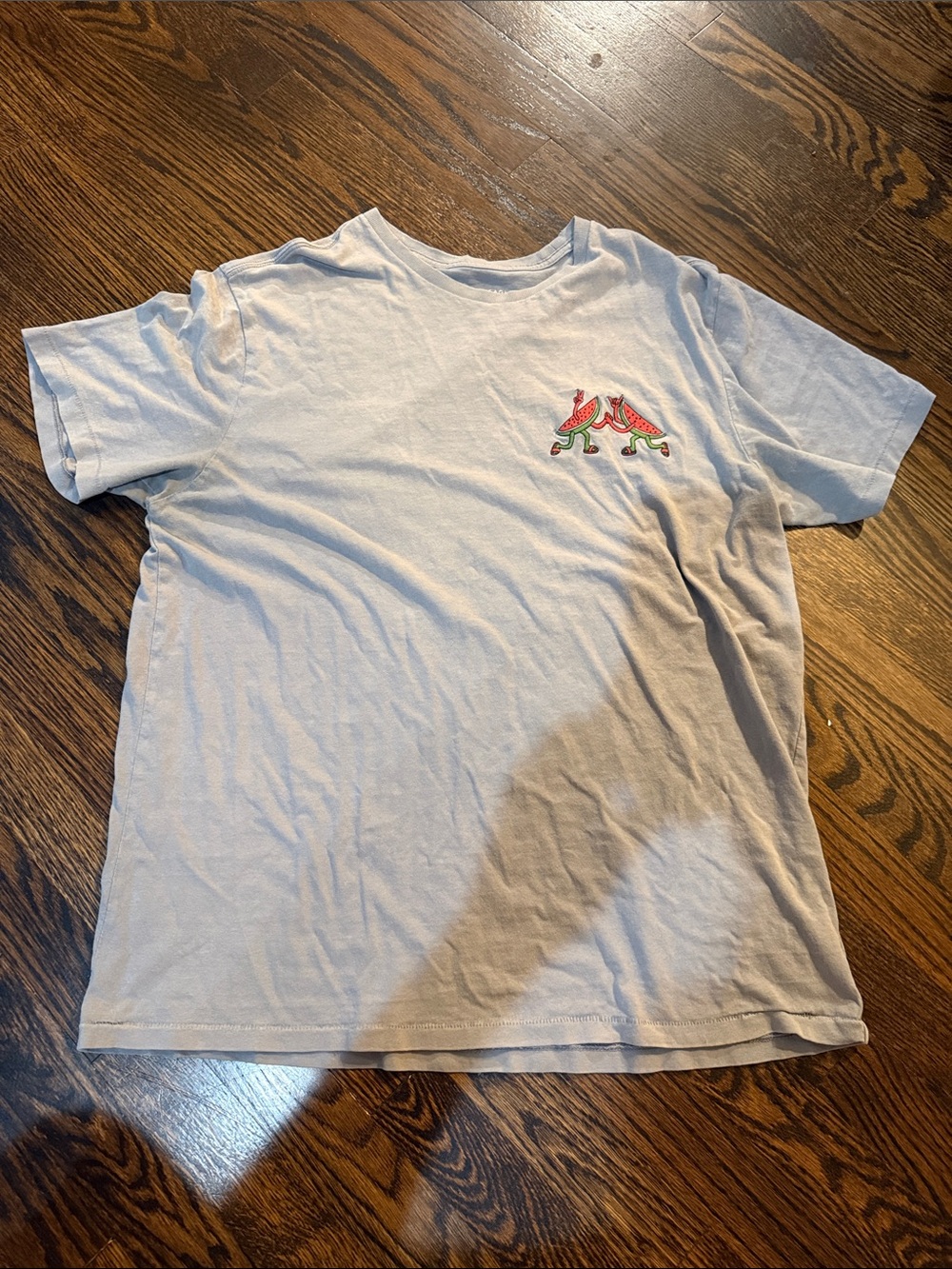 American Eagle Embroidered Watermelon High Five T-Shirt Gray Large